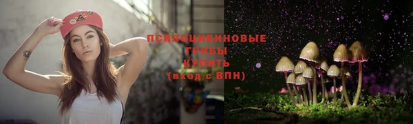 дурь Абаза